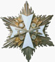 Verdienstorden vom Deutschen Adler / Deutscher Adler-Orden (DAO) Bruststern mit Schwertern 6 Strahlen